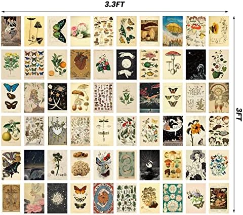 60 Db Vintage Fal, Kollázs, Kit Botanikus Illusztráció Tarot Esztétikai Nyomtatás Vintage Stílusú Fali Képek Vintage Kártya Fénykép Fal