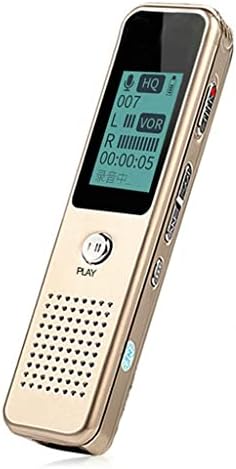 DLOETT Hordozható Audio diktafon Digitális Mini Diktafon Felvétel a Jelszavas Védelem Funkció MP3 Lejátszó (Méret : 16GB, Szín :