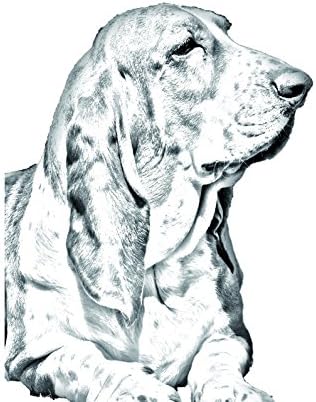 Basset Hound, Ovális alakú Sírkő a Kerámia egy Kép egy Kutyát