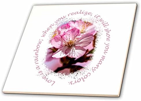 3dRose Rózsaszín Sakura Virág - cseresznyevirág. A szerelem szivárvány szöveg - Csempe (ct-362095-7)