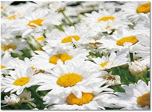 Akvarell Farm Fehér Százszorszép Virágok Szőnyeg Puha Szőnyeg Bedrrom Nappali Esztétikai Művészeti Virág Nem Szórnak Szőnyeg Gyerekeknek játszószoba,