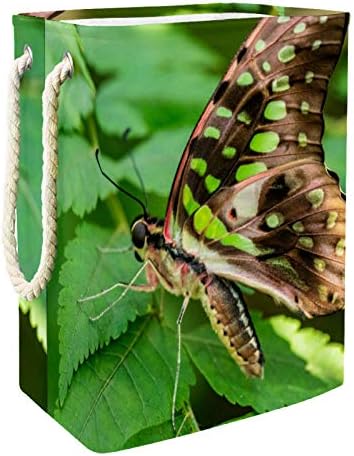 MAPOLO Szennyesben Pillangó Elhagyja Összecsukható Vászon Szennyes Tároló Kosár fogantyúval, Levehető Zárójelben Jól Tartja Vízálló Ruhák Játékok