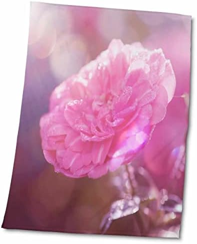3dRose Csodálatos Világos Rózsaszín Rózsa Virág, a Fény - Törölköző (twl-263037-3)
