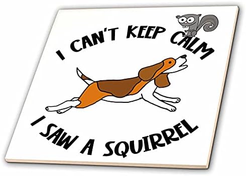 3dRose Vicces Beagle Kutya Nem Nyugodj meg Láttam egy mókust Üldözi Mókus Szójáték - Csempe (ct_349514_1)
