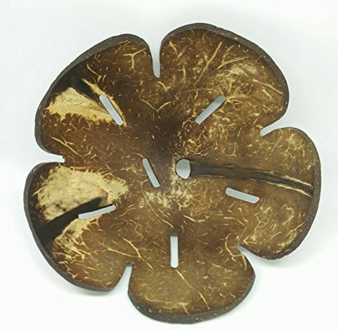 Kókusz Héj mosogatószer Chaunchom virág, Kézzel készített méret: 4 inch