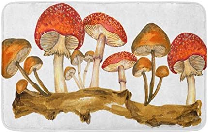 Topyee Fürdőszoba Decor 16 X 24 Szőnyeg Akvarell Botanikus Ősz, Őszi Erdő Meghatározott Elemeket Kézzel Festett Gouache A Hangulatos