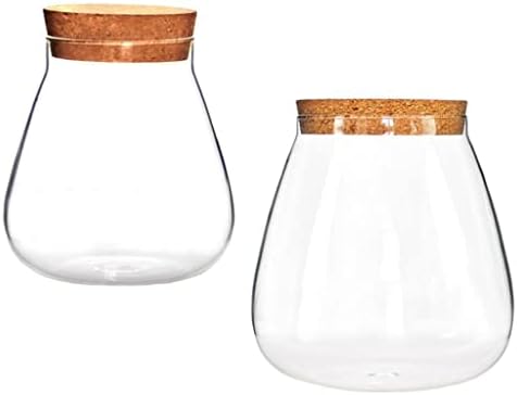 GANFANREN Dekoratív Üvegekbe 2db Micro Táj Vázák Tiszta Buborék Tálak Növény Tápláló Palack Wodden Fedél (Szín : Egy)
