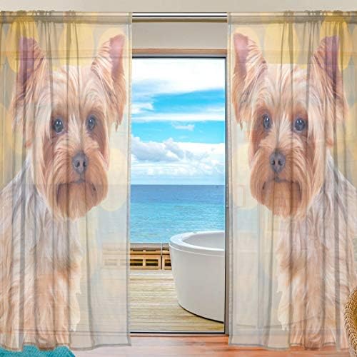 Top Ács Aranyos Yorkshire Terrier Kutya, Félig Áttetsző Függöny Ablak Voile Függönyök Panelek Kezelés-55x78in Nappali Hálószoba Gyerekek RoomSet
