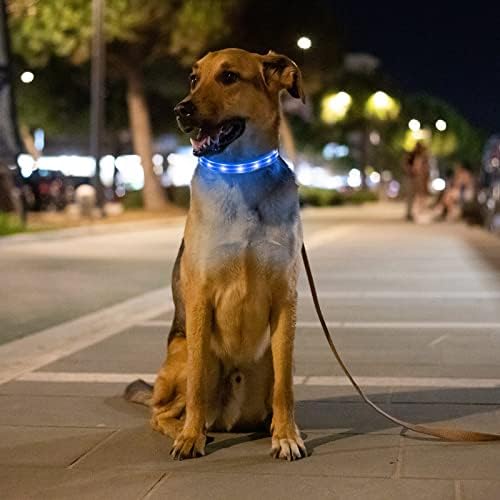 MYPETAGS LED Nyakörv, világít Kutya Nyakörvek, USB Újratölthető Kutya Világítás az Éjszakai Séta, Állítható Biztonsági Nyaklánc Kis