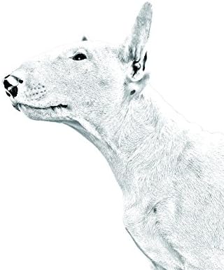 Bullterrier, Ovális alakú Sírkő a Kerámia egy Kép egy Kutyát