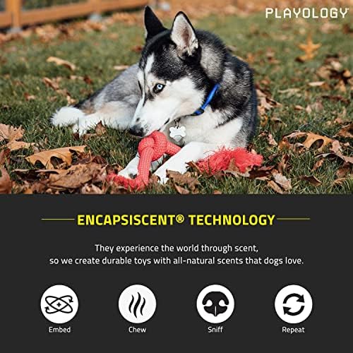 Playology Dri-Tech Kötél Kutya gumicsontot - Közepes testű Kutyák (15-35lbs) Holiday Mártás Illatos Kutya Játékok Nehéz Chewers