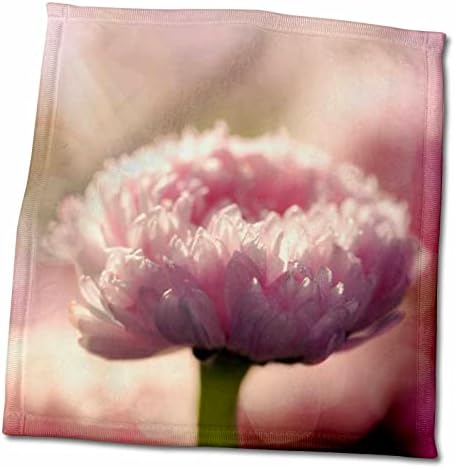 3dRose Gyönyörű Virág Rózsaszín Daisy Háttérvilágítás - Törölköző (twl-255600-3)