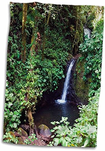 3D-s Rose-Vízesés-Monteverde Cloud Forest Reserve-Costa Rica kéztörlő, 15 x 22