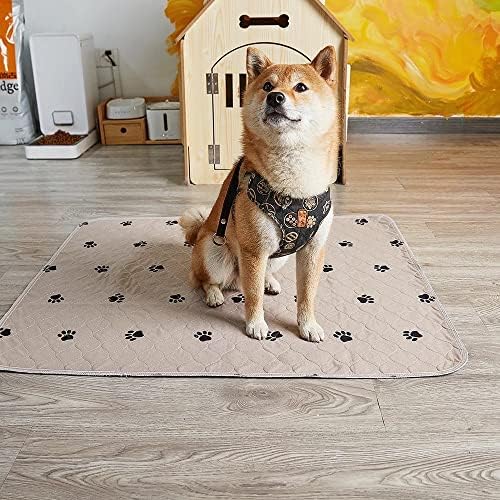 Boldog Doge 4-Többrétegű Nedvszívó, Anti-Slip Kutya Párna (X-Large) 48 x 65 inch