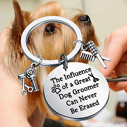 LQRI kutyagondozó Ajándék Pet-Kutyakozmetika Ajándék A Hatása egy Nagy Kutya Kutyakozmetika Nem Lehet kitörölni Kulcstartó Pet