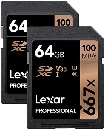 Lexar Professional 667X 64 gb-os SDXC UHS-I/U3 Kártya (LSD64GBNA667)